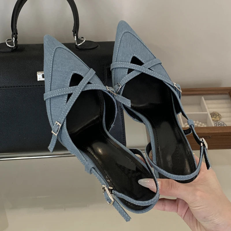 Pointed Toe Buckle Strap Pump Shoes