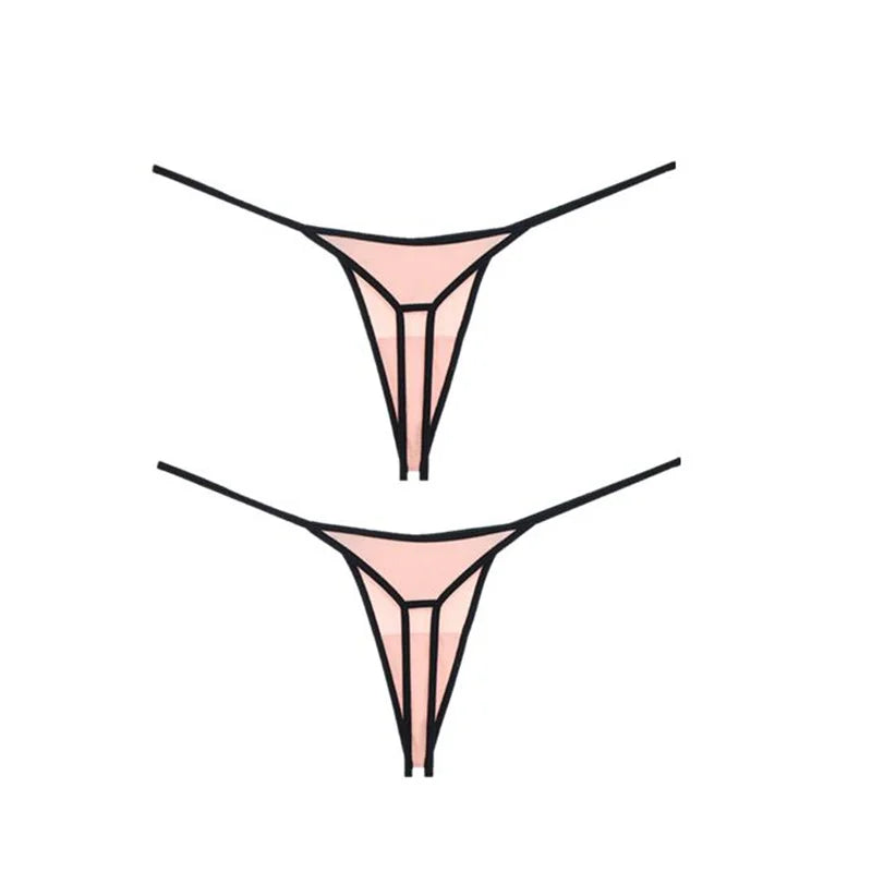 45501157572856|45501157605624|45501157966072|45501157998840