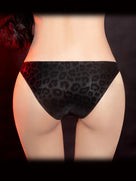 Our Head On Collision Brief